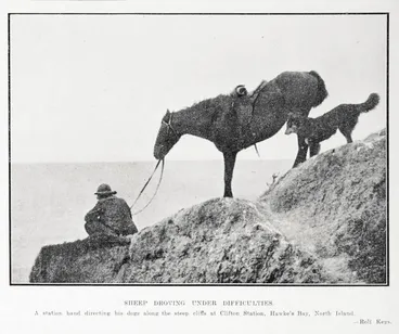 Image: Sheep Droving Under Difficulties