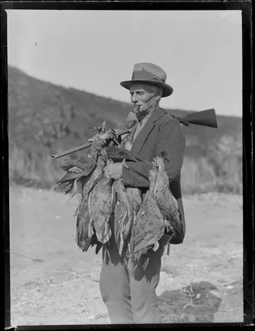 Image: Duck shooting, featuring unidentified hunter who is smoking and wearing a hut and carrying duck carcasses and a gun, location unknown