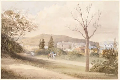 Dunedin from the Town Belt