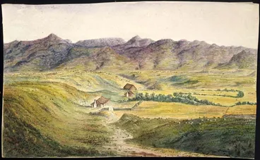 Image: Sheep farming