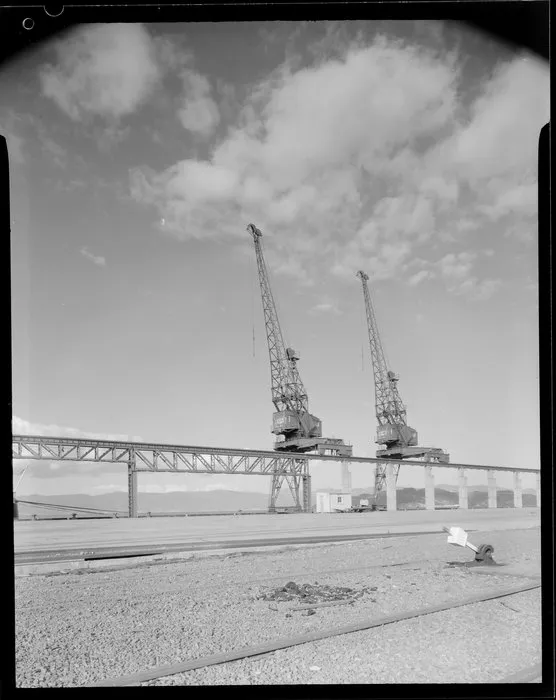 Cranes outside EDAC building, Naenae, Lower Hutt, Wellington