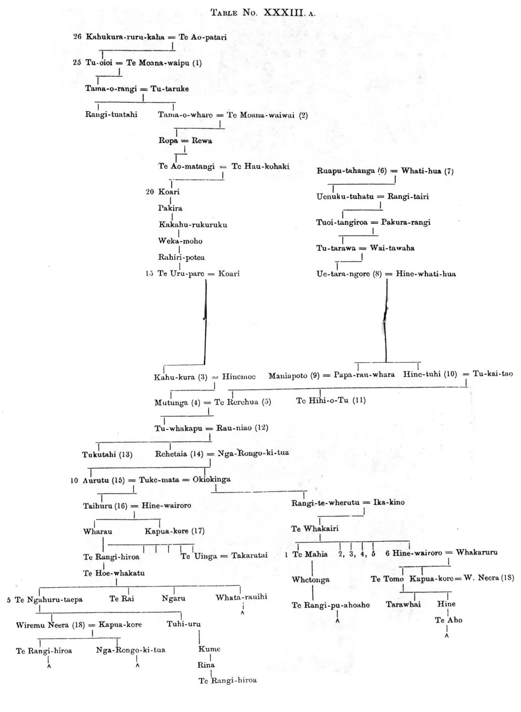 Ngati-Mutunga Tribe — Table No. XXXIII. A