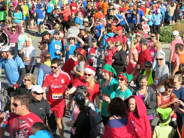 Image: The Press Summer Starter