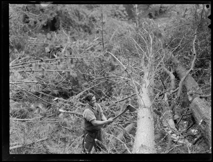 Tokoroa Timber Industry, 1952