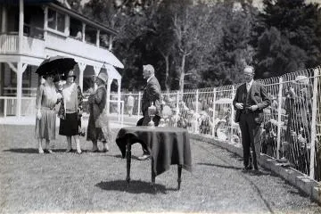 Birdcage, Tauherenikau Racecourse : digital image