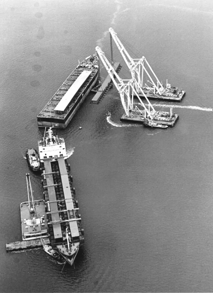 Cranes and the Daikyo Maru, 1968