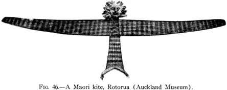 Fig. 46.—A Maori kite, Rotorua (Auckland Museum)