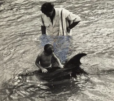 Image: Opo the dolphin, Opononi