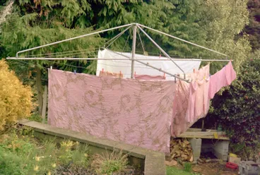 Image: Woods, Clothesline