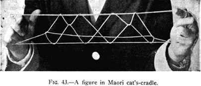 Fig. 43.—A figure in Maori cat's-cradle