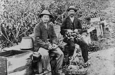 Market gardeners, 1888 Image: Market gardeners, 1888