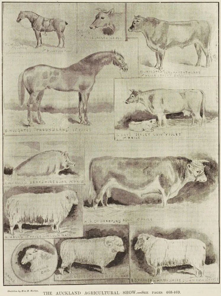 The Auckland Agricultural Show