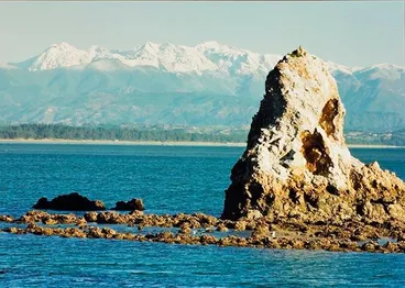 Image: Fifeshire Rock