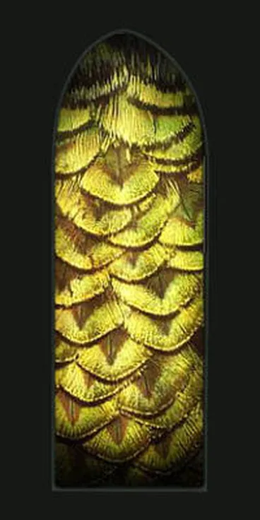 Image: Papa Hou [7 - Peacock Collar]