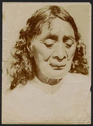 Image: [Perira Te Kahukura]