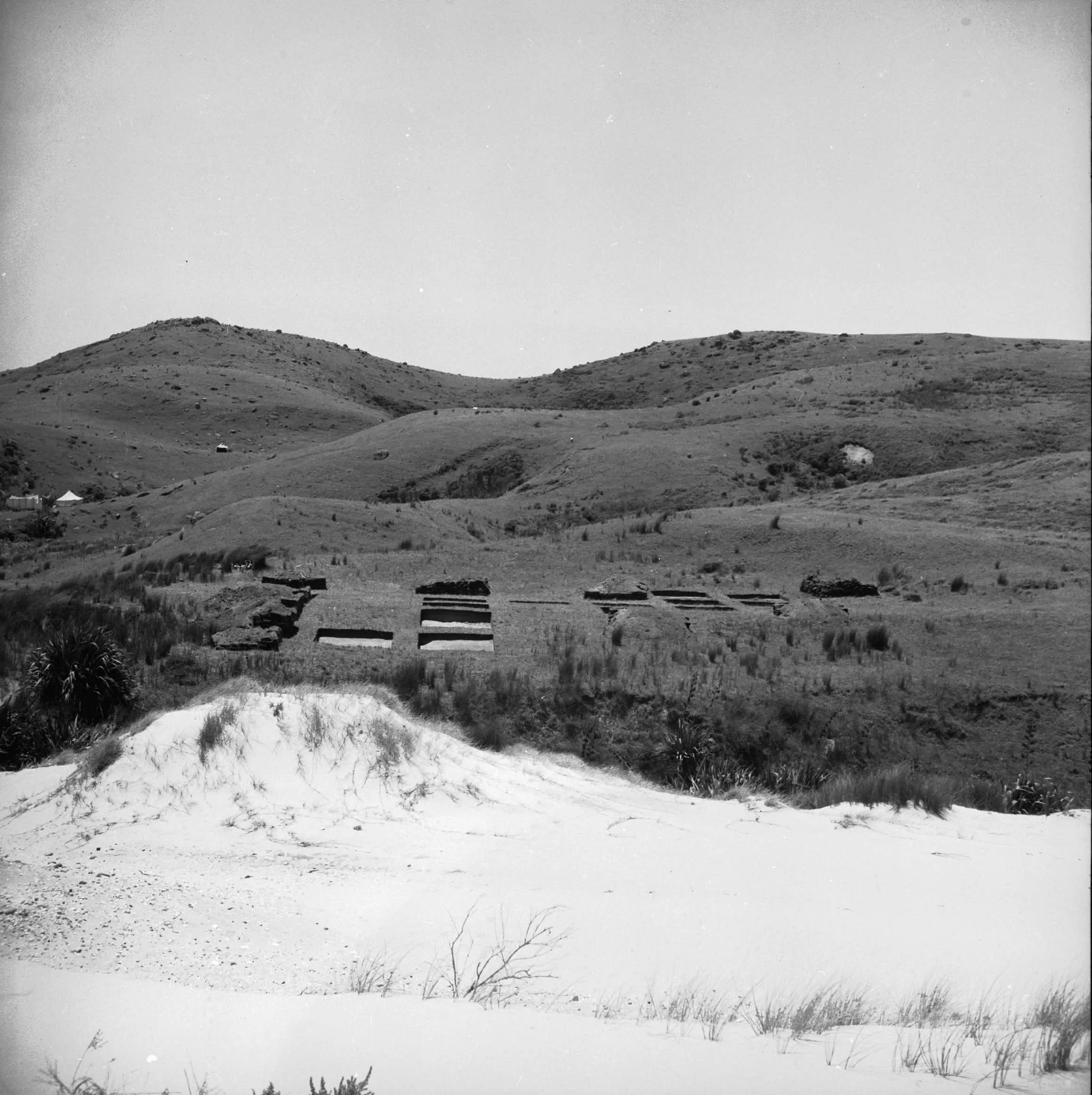 Sarah's Gully excavation, view of excavation squares with coastal dunes in foreground