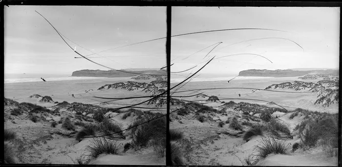 Coastal scene including man with camera and dog, with dunes in the foreground and a distant ship offshore