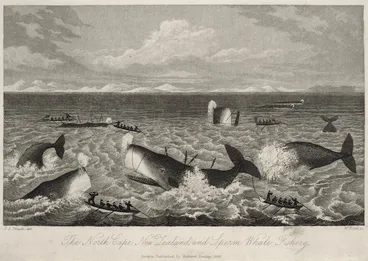 Image: Polack, Joel Samuel 1807-1882 :The North Cape, New Zealand, and sperm whale fishery. J. S. Polack, del., W. Read, sc. London, Richard Bentley, 1838.