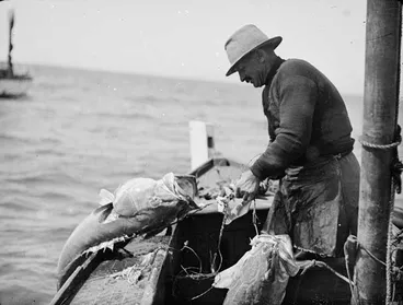 Shetlander Image: Shetlander