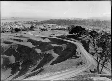 Image: Royal Oak and Epsom from One Tree Hill