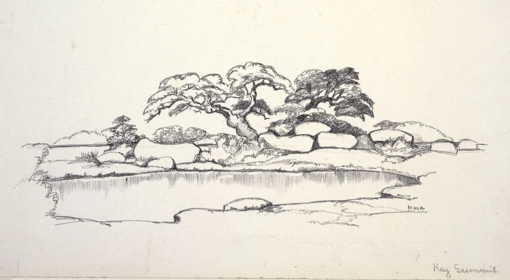 Pencil sketch of mountain beech (Nothofagaceae - Nothofagus solandri var. cliffortioides) on a mountain tarn, first appeared in 'Mountain Flowers of New Zealand'.