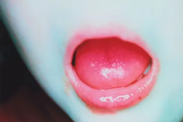 Image: Ruby's room, no. 8