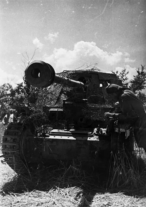 German self propelled gun, Sora, Italy