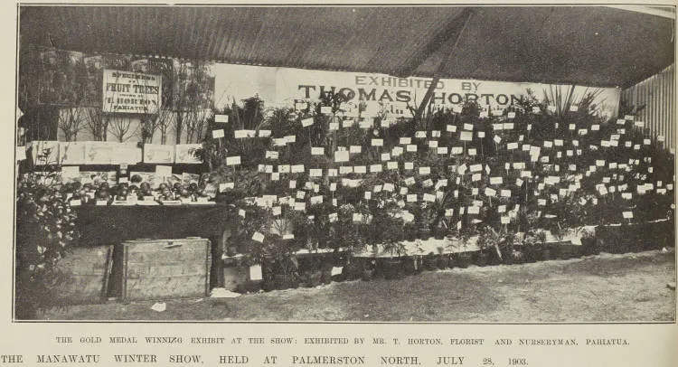The gold medal winning exhibit at the show: exhibited by Mr T. Horton, florist and nurseryman, Pahiatua