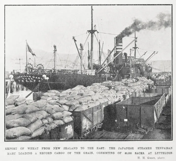 Export of wheat from New Zealand to the East: the Japanese steamer Tenpaisan Maru at Lyttelton