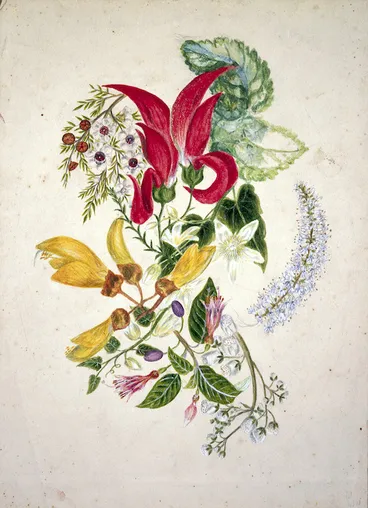 Image: Featon, Sarah Ann 1847 or 1848-1927 :[Composite picture of flowers, New Zealand. ca 1890]