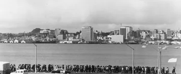 Image: Māori Land March approaching Wellington along the motorway