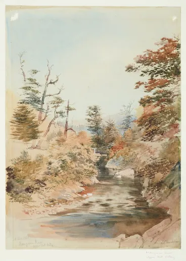 Image: Mangaroa River, Upper Hutt Valley