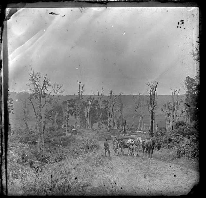 Two men standing beside a hose-drawn cart on a road in the Catlins District, Otago Region