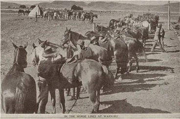 Image: In the horse lines at Waiouru