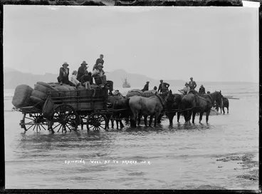 Image: Shipping wool at Te Araroa, East Coast