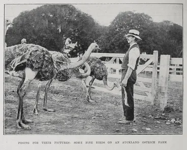 Image: Posing for their pictures