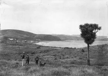 Image: Denton, Frank J 1869-1963 (Photographer) : Plimmerton