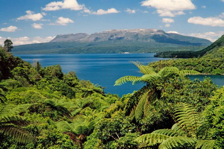 Lake Tarawera