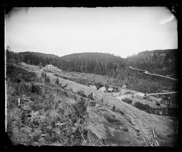 Image: Pakuratahi side of the Mungaroa [Mangaroa] Hill, Wellington and Masterton Road, NZ