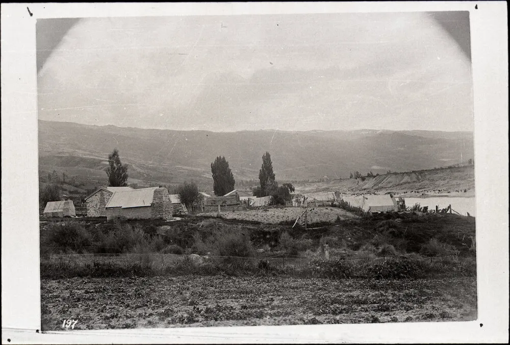 Otago Chinese Community