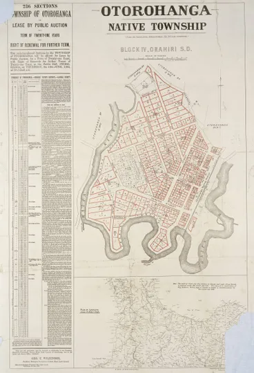 Image: Otorohanga native township