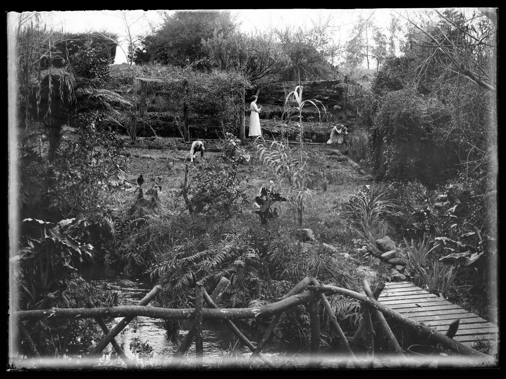 Garden beside Koputaroa stream
