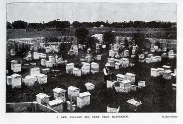 Image: A New Zealand Bee Farm Near Masterton : Digital image