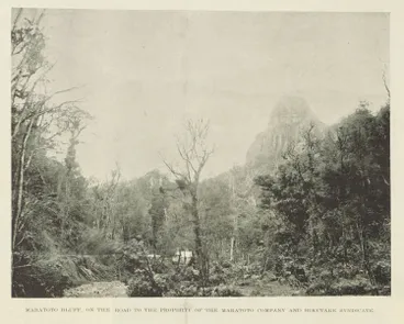 Image: Maratoto Bluffs