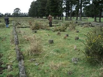 Joinery shop foundations, Featherston Prisoner of War Camp : digital image