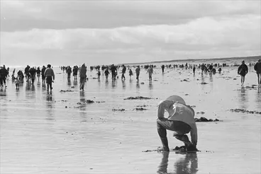 Image: Digging for toheroa