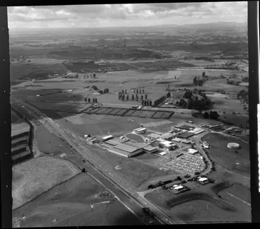 Image: Te Puke Freezing Works, (Rangiuru AFFCO)