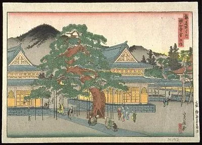 Myôshin-ji Sekko matsu (Sekkô's Pine Tree at Myôshin-ji Temple