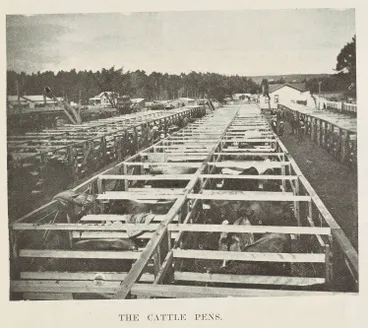 Image: The cattle pens