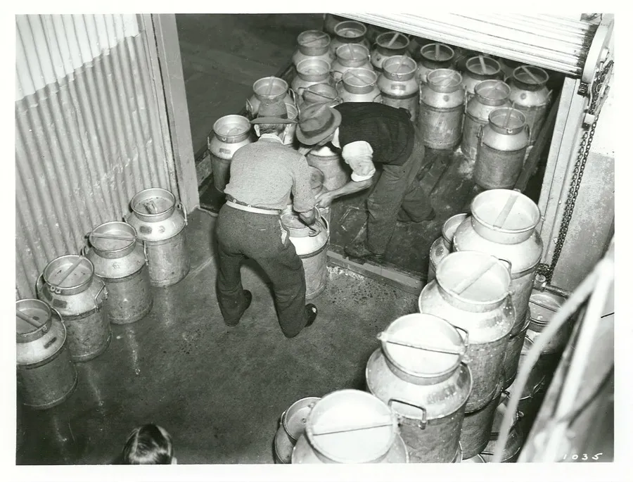 Wanganui Dairy Factory